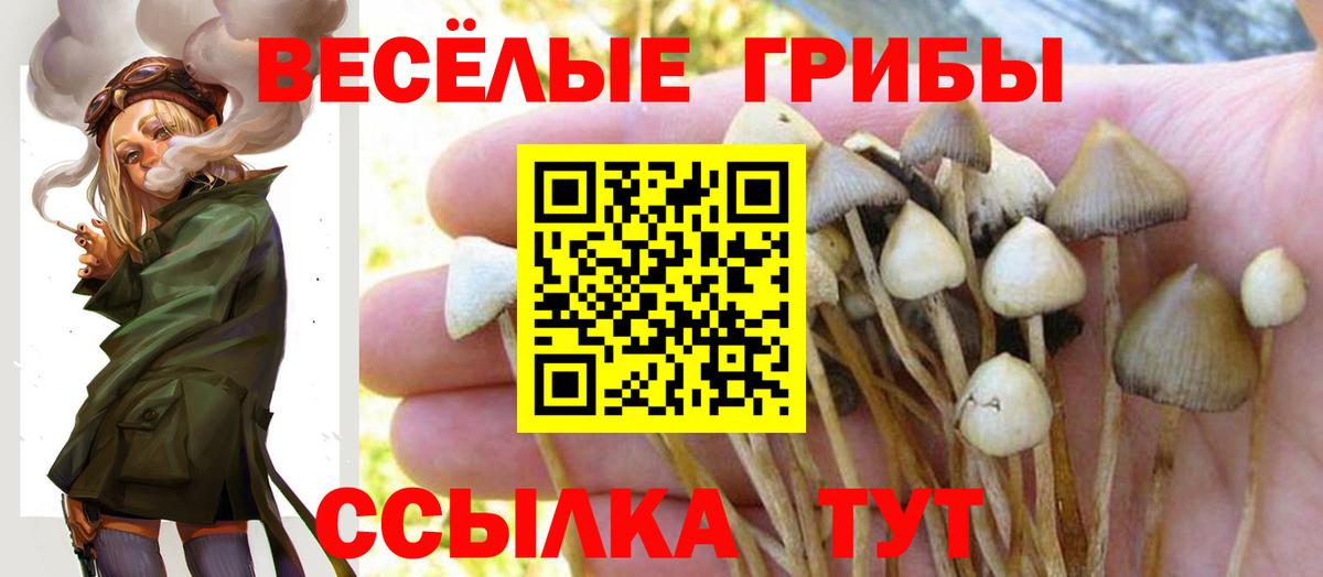 Абинск  Галлюциногенные грибы GOLDEN TEACHER  Вход с VPN 